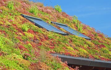 Briery living roof systems