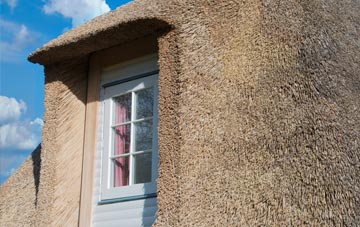 Briery thatch roof disadvantages